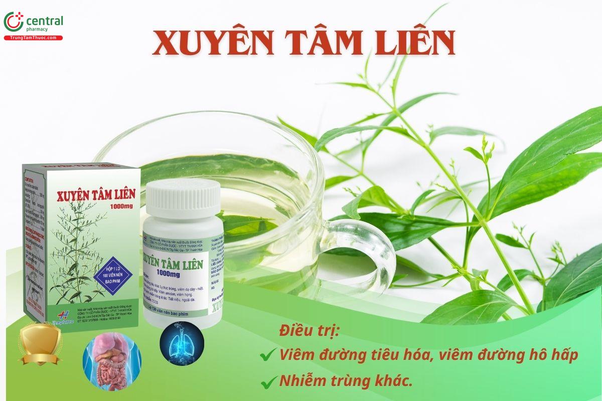 Thuốc Xuyên tâm liên Thephaco điều trị viêm đường tiêu hóa, viêm đường hô hấp và các nhiễm trùng khác
