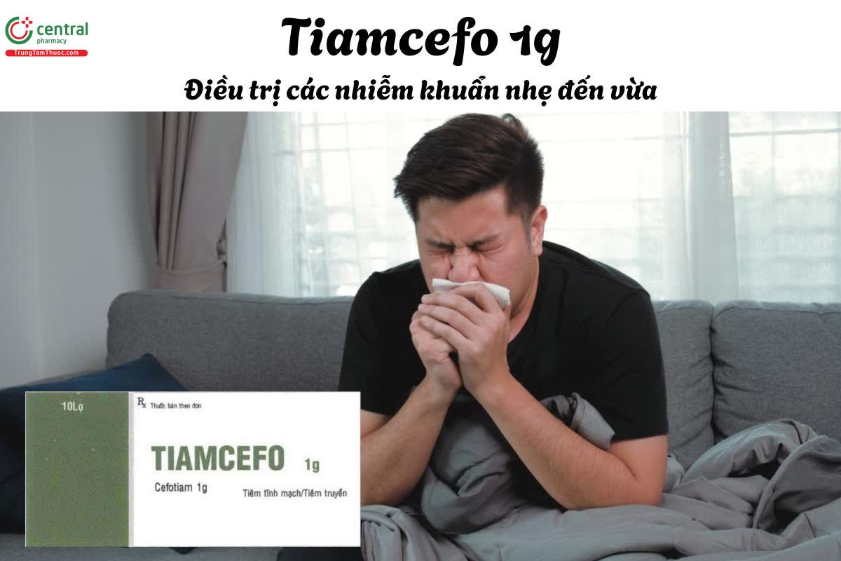 Thuốc Tiamcefo 1g - Điều trị các nhiễm khuẩn do vi khuẩn nhạy cảm