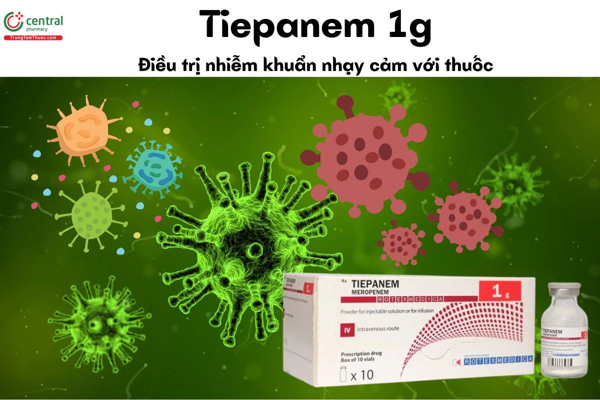 Thuốc Tiepanem 1g - Điều trị nhiễm khuẩn nhạy cảm với thuốc