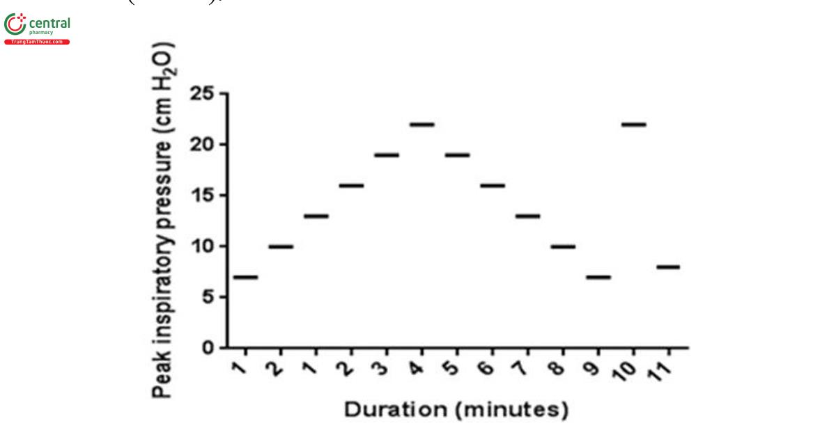 Hình 1. Thao tác huy động phổi: giao thức thủ thuật huy động được cung cấp bởi Boriosi et al. (11). Mỗi thanh ngang biểu thị mức tăng PEEP tăng dần thêm 2 cm H2O với mức tăng một phút so với PEEP cơ bản.