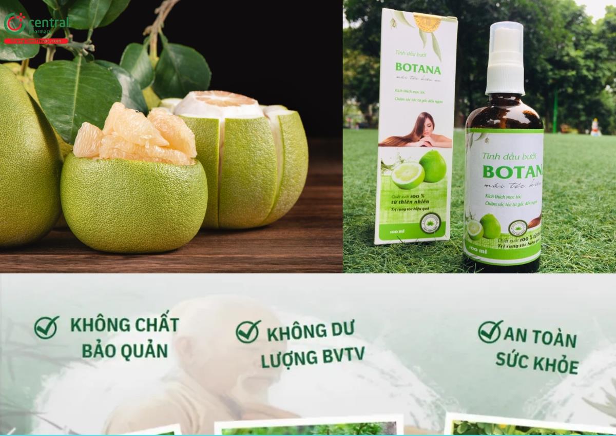 Tinh dầu bưởi Botana - Giải pháp phục hồi và kích thích tóc mọc nhanh