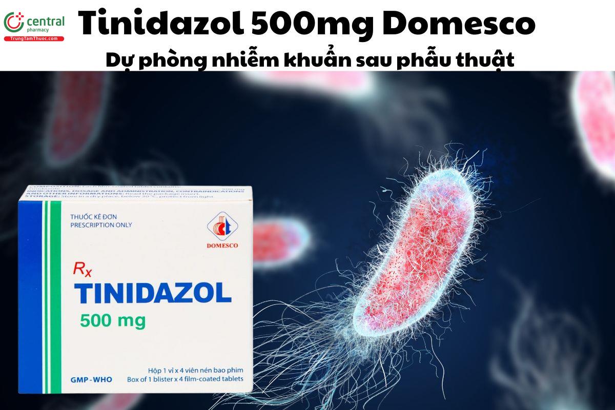 Thuốc Tinidazol 500mg Domesco dự phòng nhiễm khuẩn hậu phẫu thuật