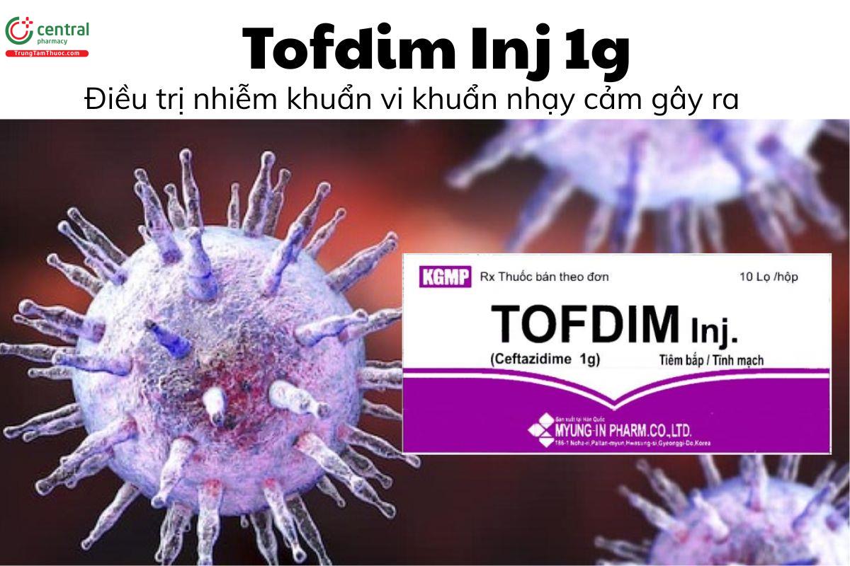 Thuốc Tofdim Inj 1g - Điều trị nhiễm khuẩn vi khuẩn nhạy cảm gây ra
