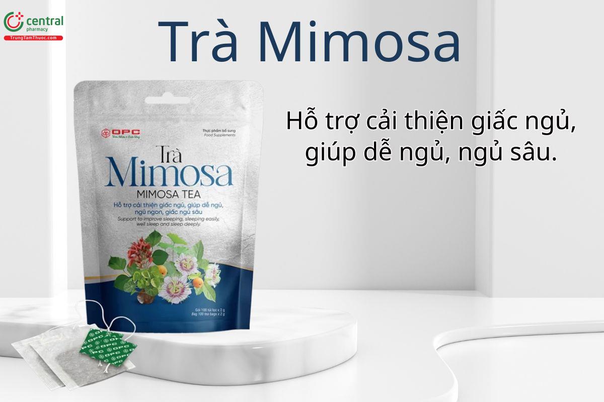 Trà Mimosa hỗ trợ cải thiện giấc ngủ