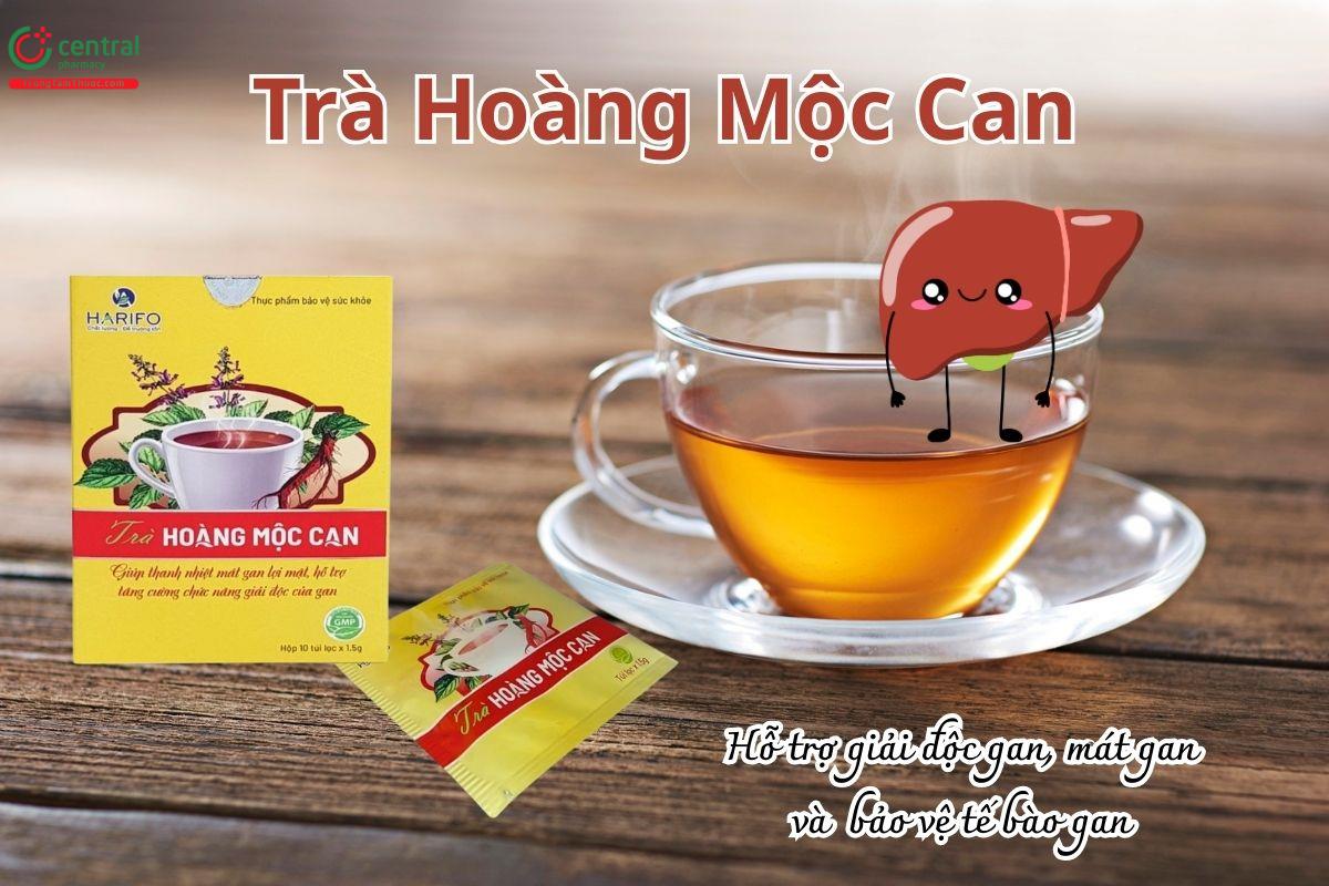 Trà Hoàng Mộc Can hỗ trợ giải độc gan, mát gan, bảo vệ tế bào gan