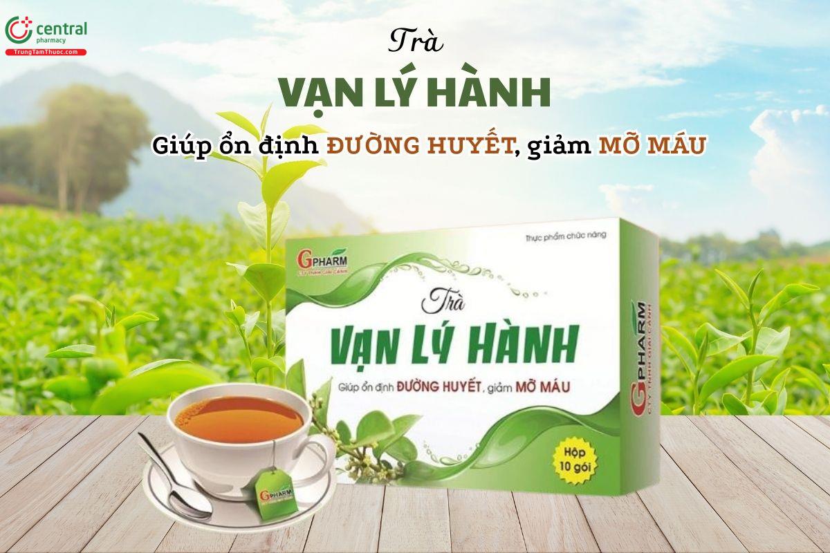 Trà Vạn Lý Hành hỗ trợ ổn định đường huyết và giảm mỡ máu