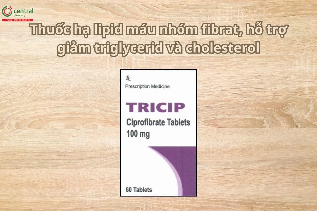 Thuốc Tricip 100mg hạ lipid máu, hỗ trợ giảm triglycerid và cholesterol