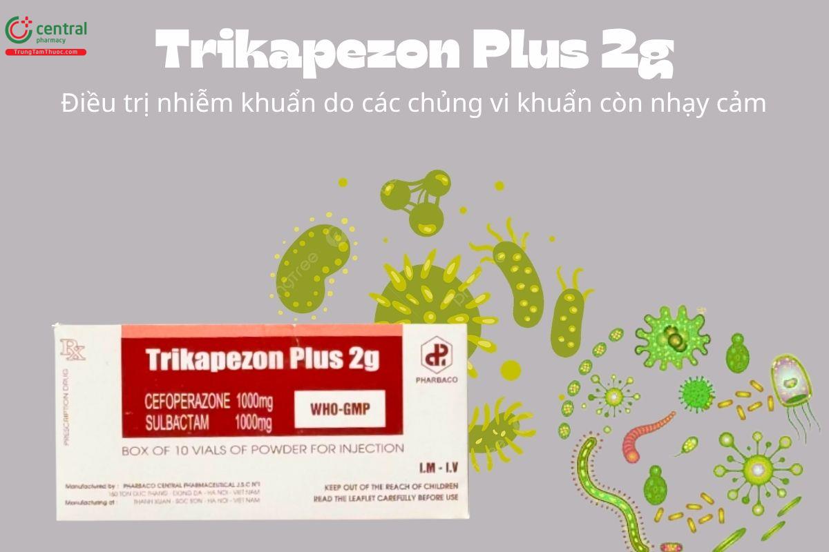 Thuốc Trikapezon Plus 2g - Điều trị nhiễm khuẩn do chủng vi khuẩn nhạy cảm