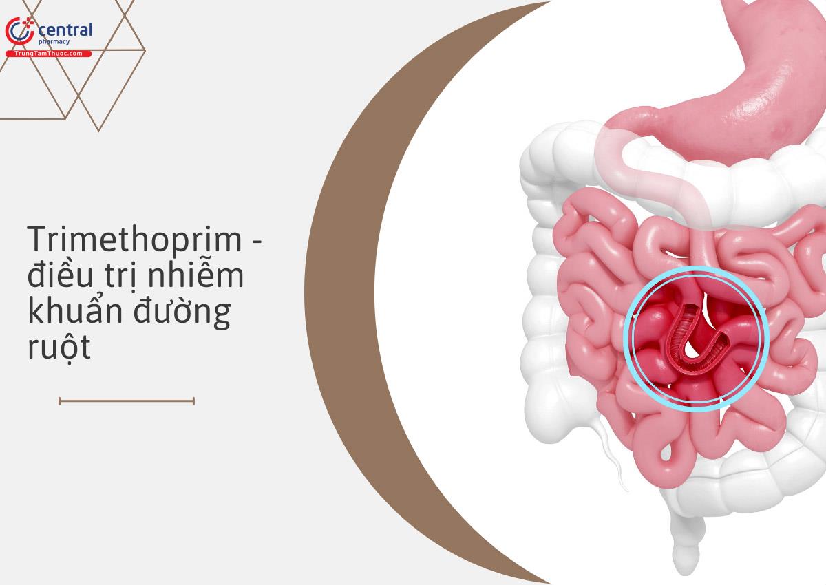 Trimethoprim - điều trị nhiễm khuẩn đường ruột