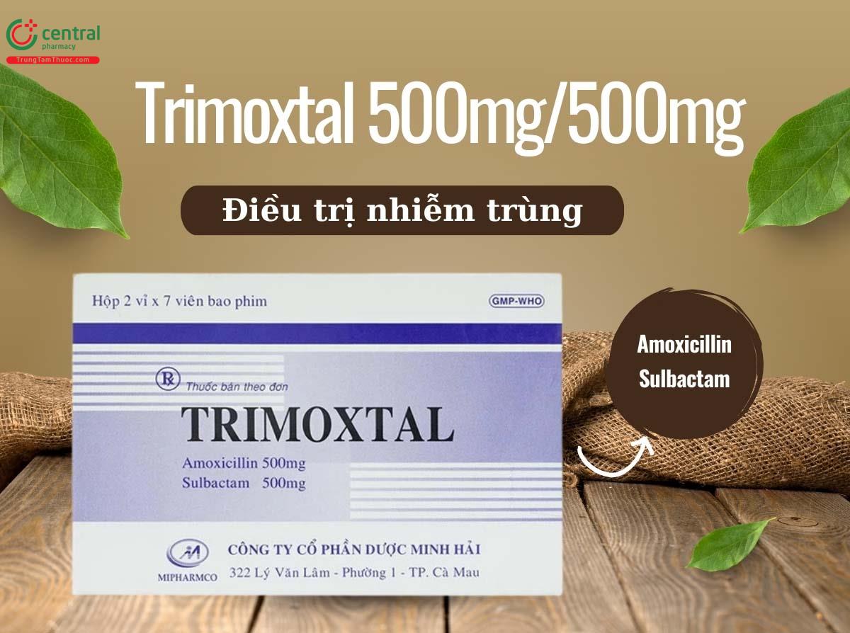 Thuốc Trimoxtal 500mg/500mg - Điều trị nhiễm khuẩn