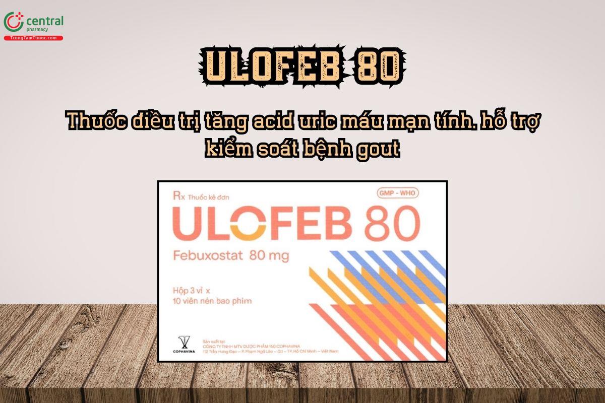Thuốc Ulofeb 80 điều trị tăng acid uric máu mạn tính, kiểm soát bệnh gout