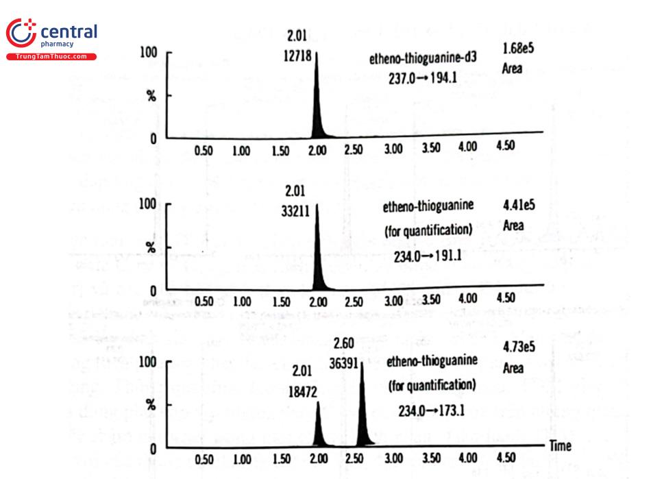 Hình 2.36. Sắc đồ định lượng thioguanin trong DNA với chuẩn nội thioguanin - d3 sau dẫn xuất với thuốc thử cloroacetaldehyd bằng LC - MS/MS 