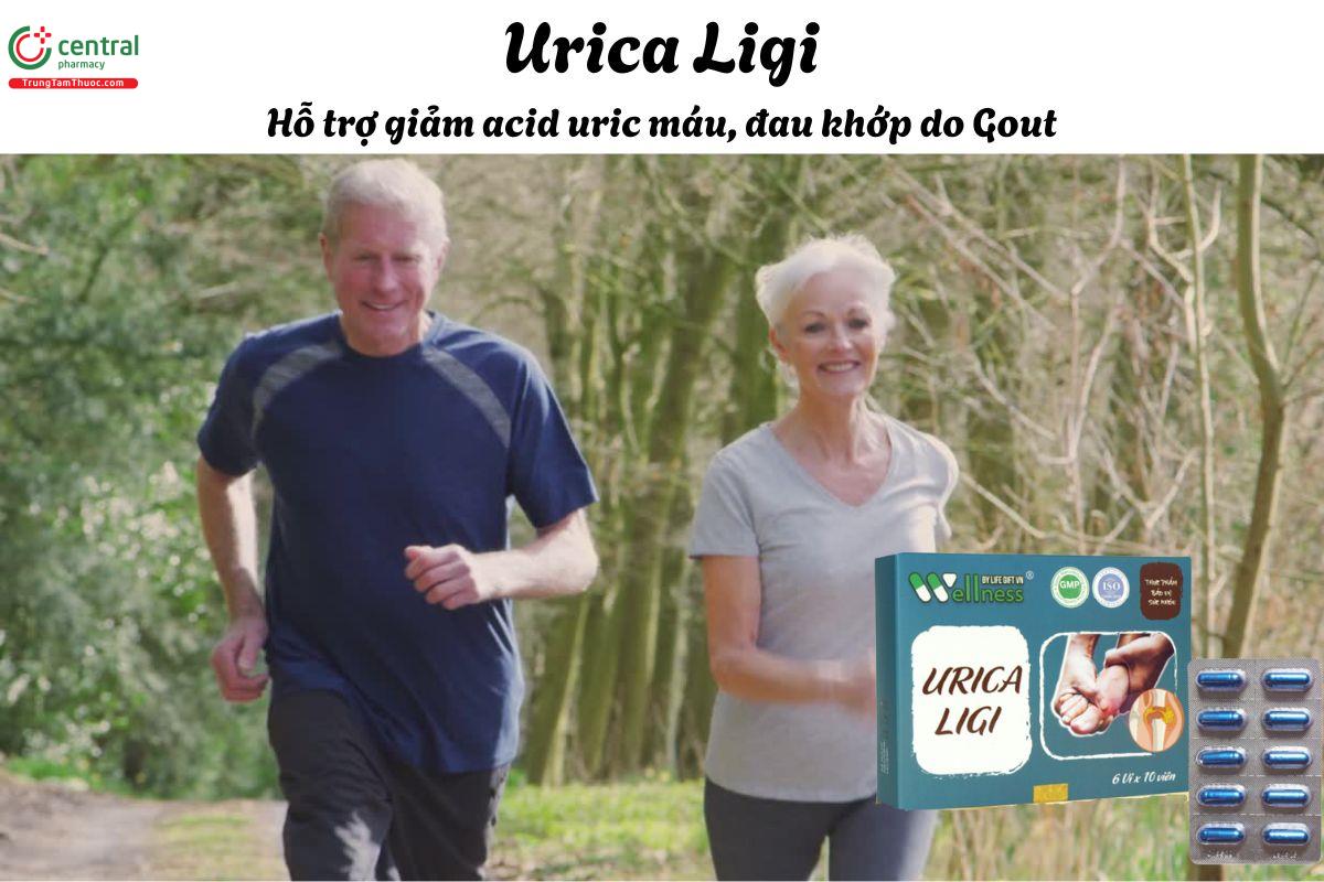 Urica Ligi - Giúp cải thiện nồng độ acid uric trong máu