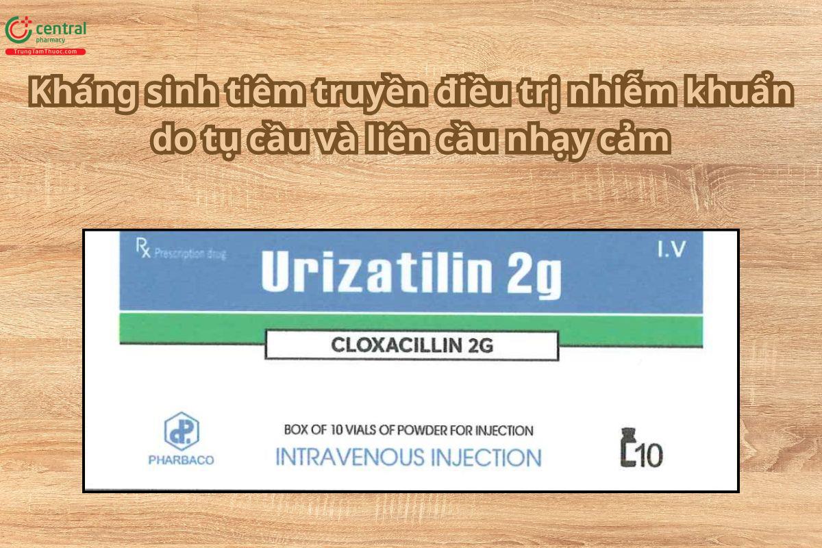 Thuốc Urizatilin 2g điều trị nhiễm khuẩn do tụ cầu, liên cầu nhạy cảm