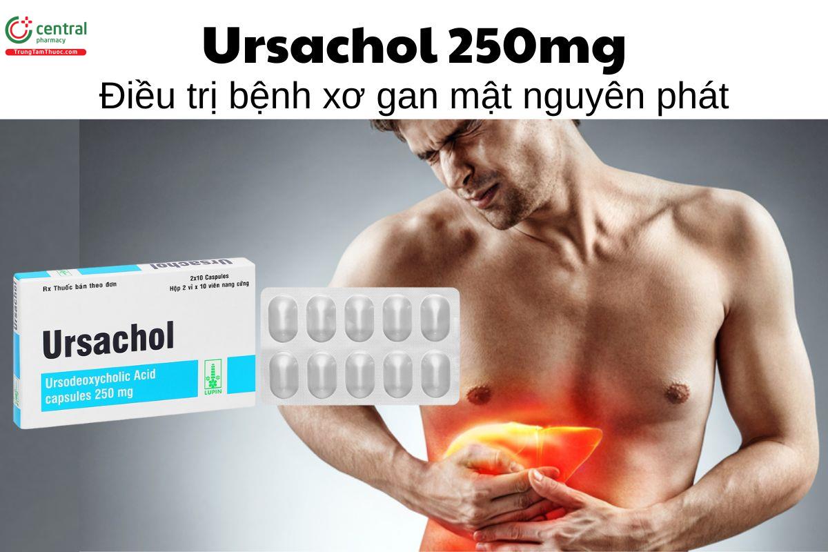 Thuốc Ursachol 250mg - Điều trị bệnh xơ gan mật nguyên phát