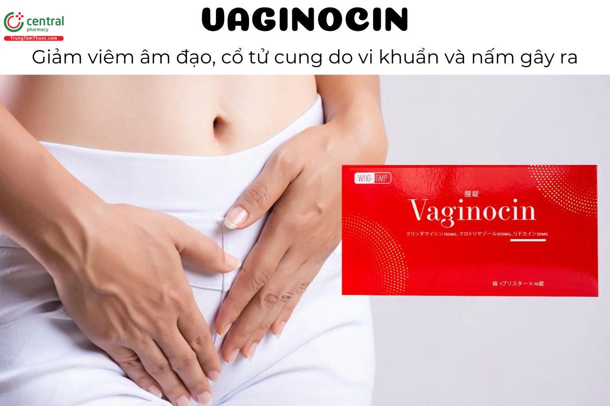 VAGINOCIN - Giảm viêm âm đạo, cổ tử cung do vi khuẩn và nấm gây ra