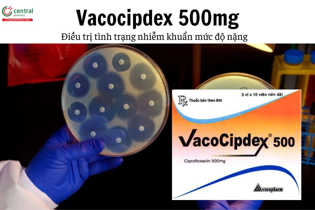 Thuốc Vacocipdex 500mg - Điều trị tình trạng nhiễm khuẩn mức độ nặng