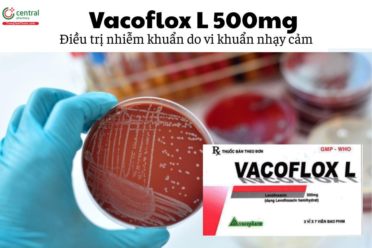 Thuốc Vacoflox L 500mg - Điều trị nhiễm khuẩn do vi khuẩn nhạy cảm
