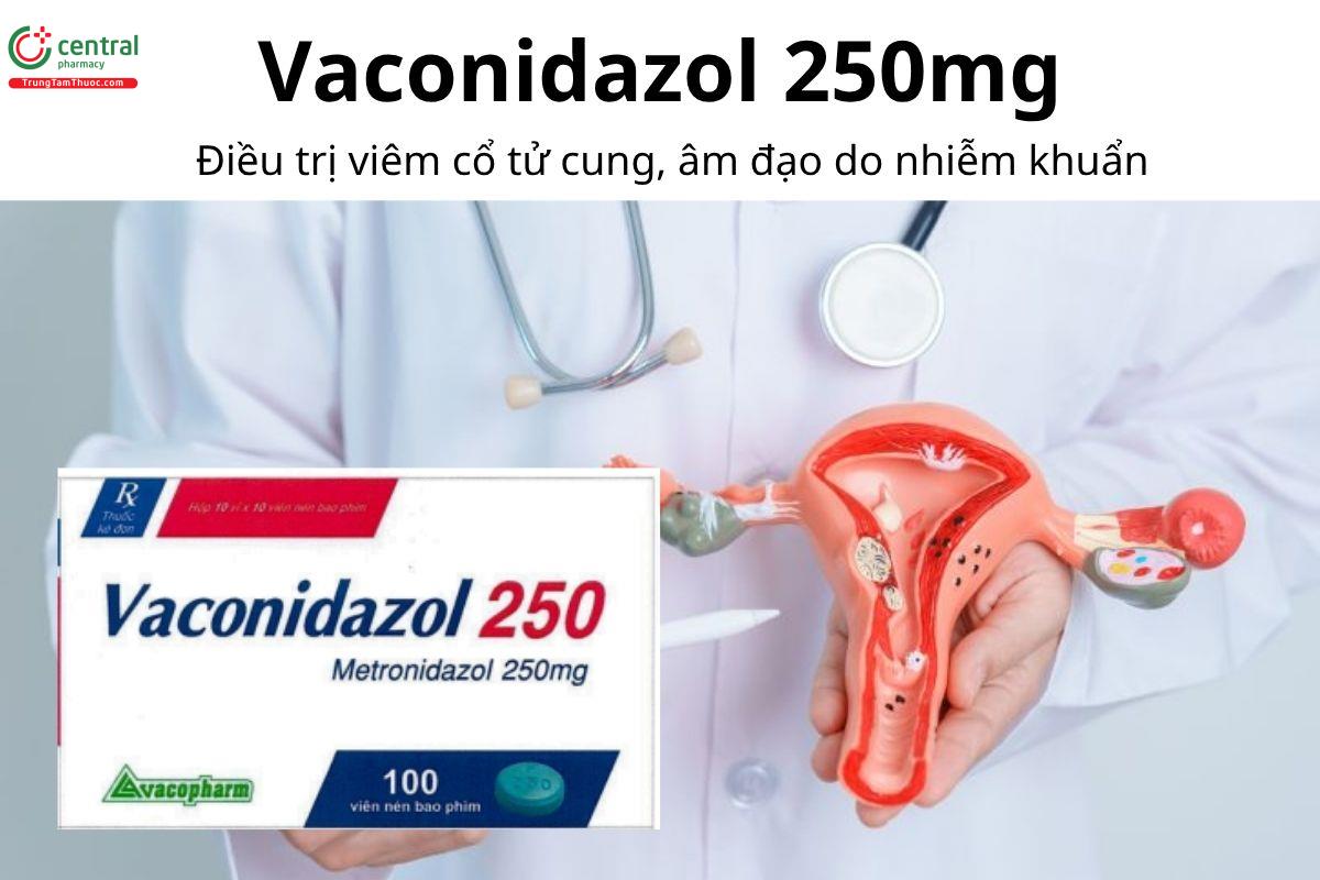 Thuốc Vaconidazol 250mg - Điều trị viêm cổ tử cung, âm đạo do nhiễm khuẩn