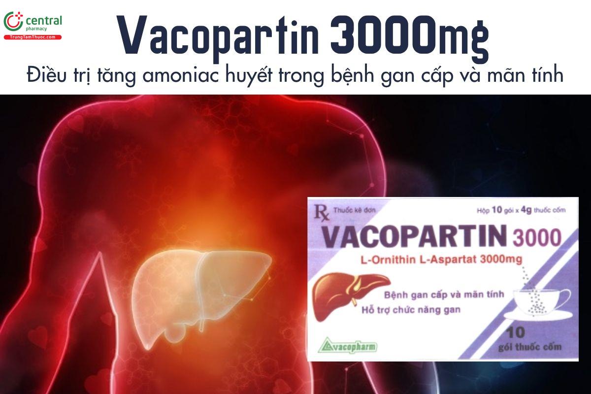 Thuốc Vacopartin 3000mg - Điều trị tăng amoniac huyết trong bệnh gan cấp và mãn tính