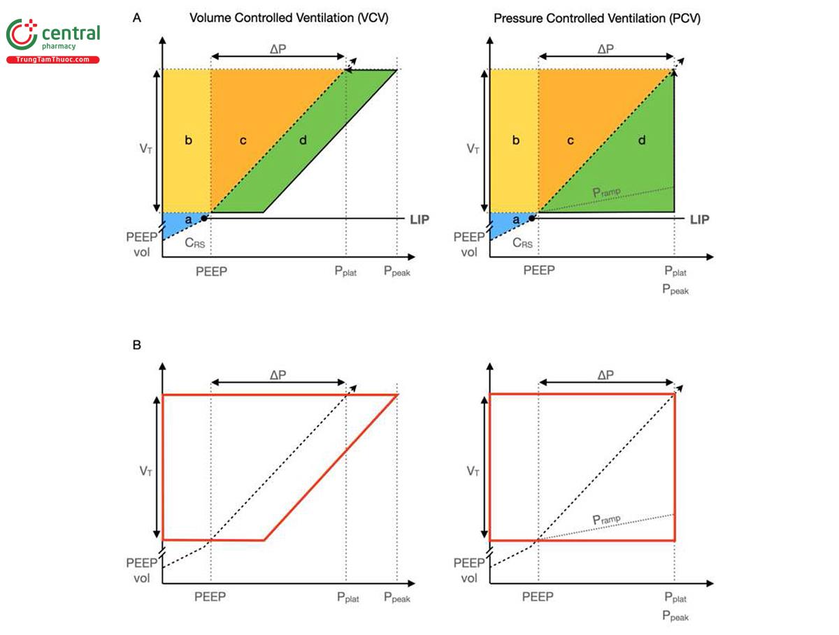 Hình 1. Năng lượng theo chu kỳ thở trong quá trình thông khí kiểm soát thể tích và áp lực.