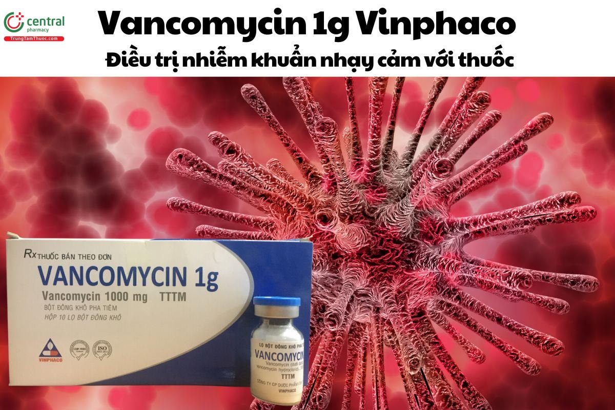 Thuốc Vancomycin 1g Vinphaco Điều trị nhiễm khuẩn nhạy cảm với thuốc