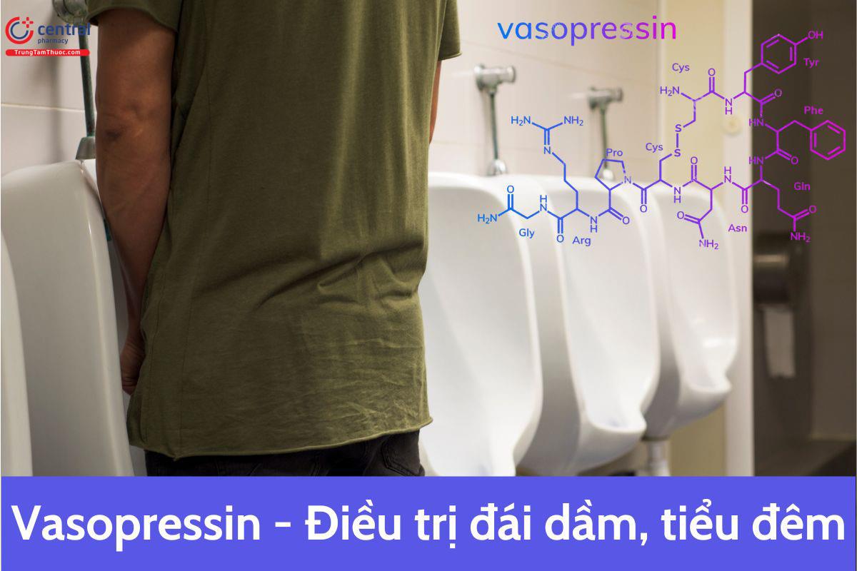 Vasopressin điều trị tiểu nhiều về đêm