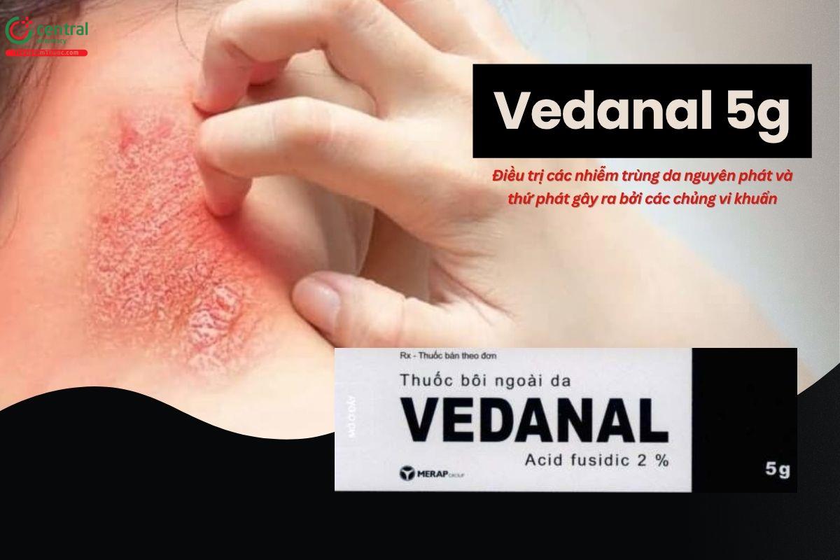 Thuốc Vedanal 5g điều trị các bệnh do nhiễm trùng ngoài da