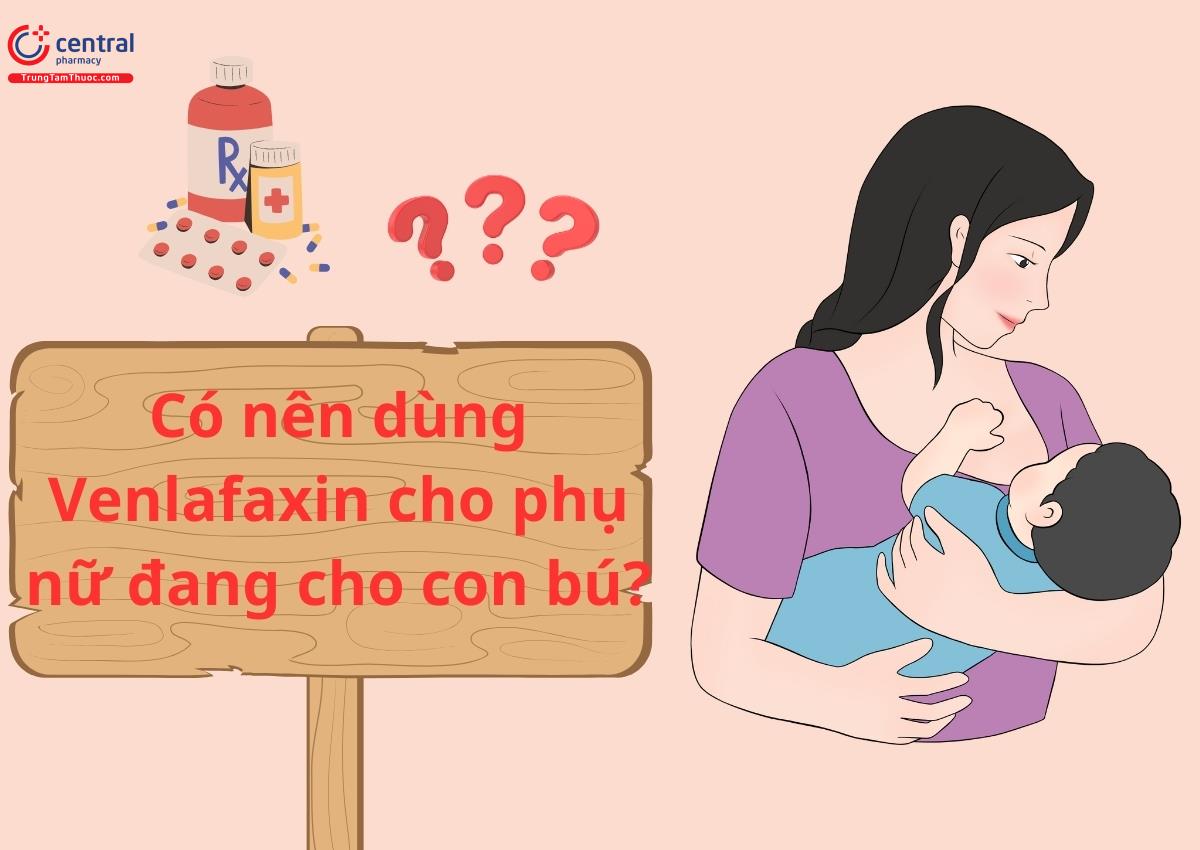 Có nên dùng Venlafaxin cho phụ nữ đang cho con bú?