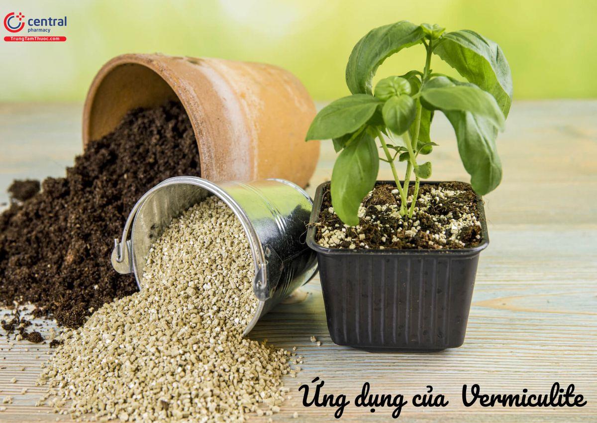 Ứng dụng của Đá Vermiculite trong nông nghiệp