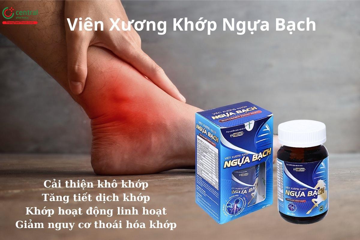 Viên Xương Khớp Ngựa Bạch