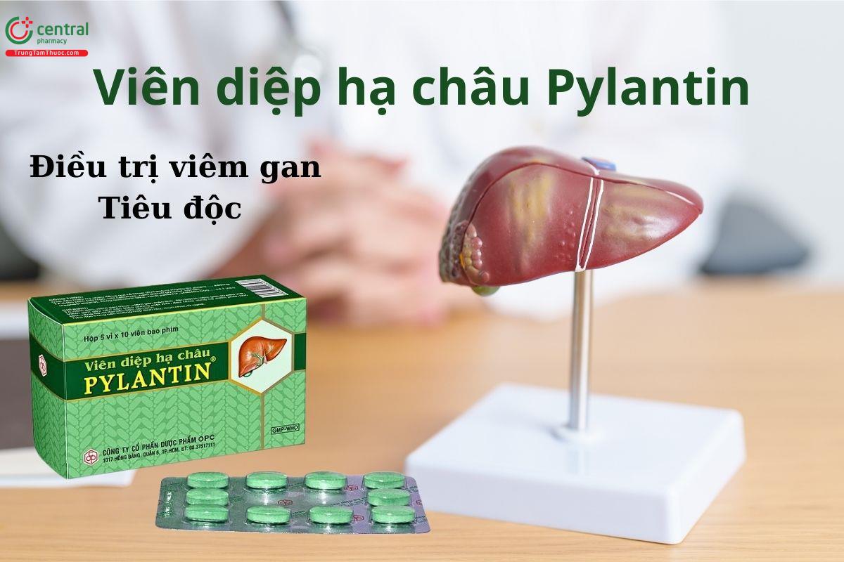 Thuốc Viên diệp hạ châu Pylantin