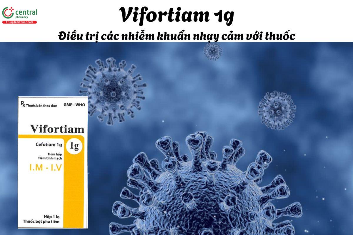Thuốc Vifortiam 1g - Điều trị các nhiễm khuẩn đường hô hấp dưới, tiết niệu