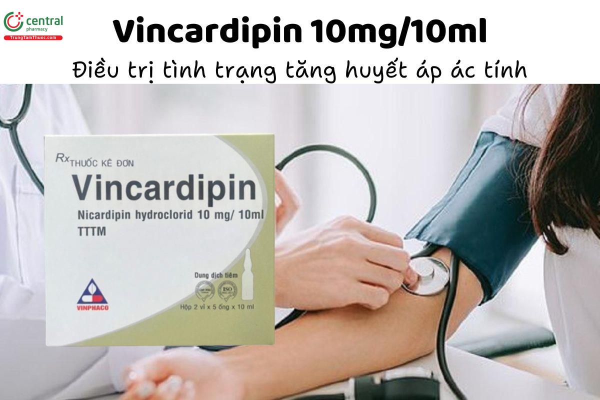 Thuốc Vincardipin 10mg/10ml - Điều trị tình trạng tăng huyết áp ác tính