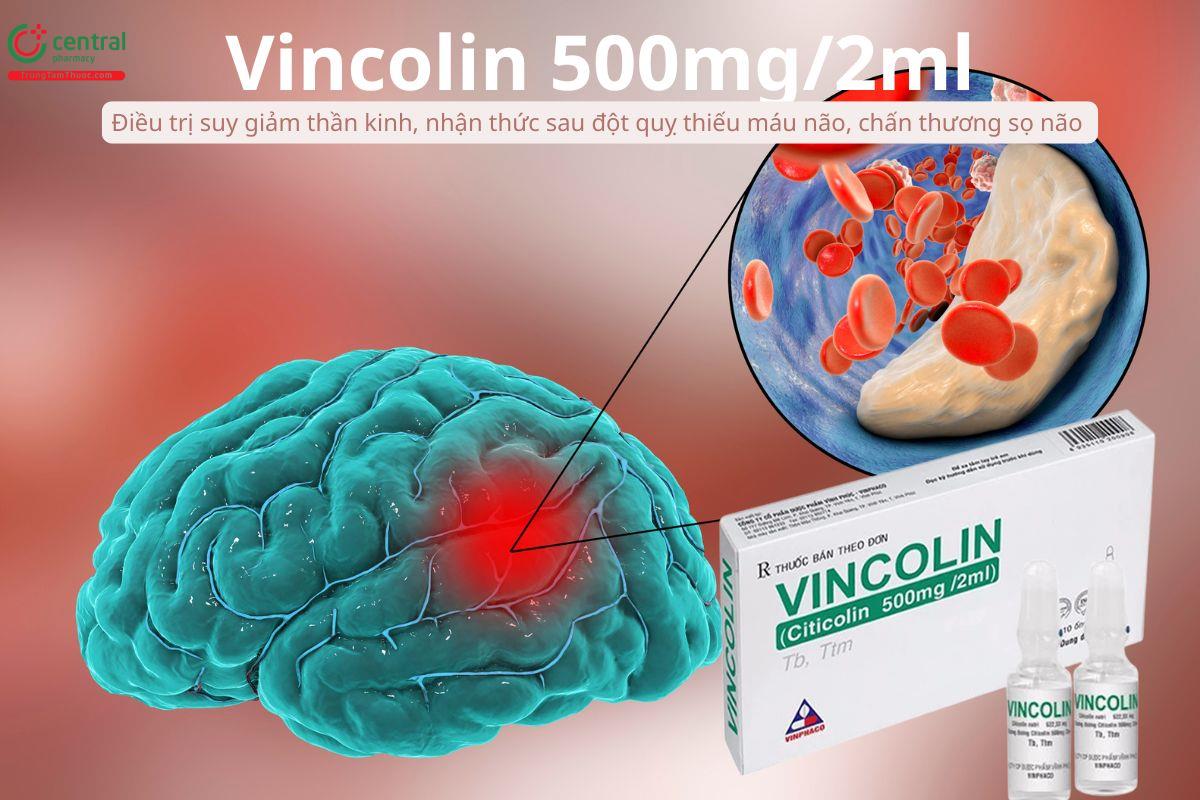 Thuốc Vincolin 500mg/2ml điều trị suy giảm thần kinh và nhận thức