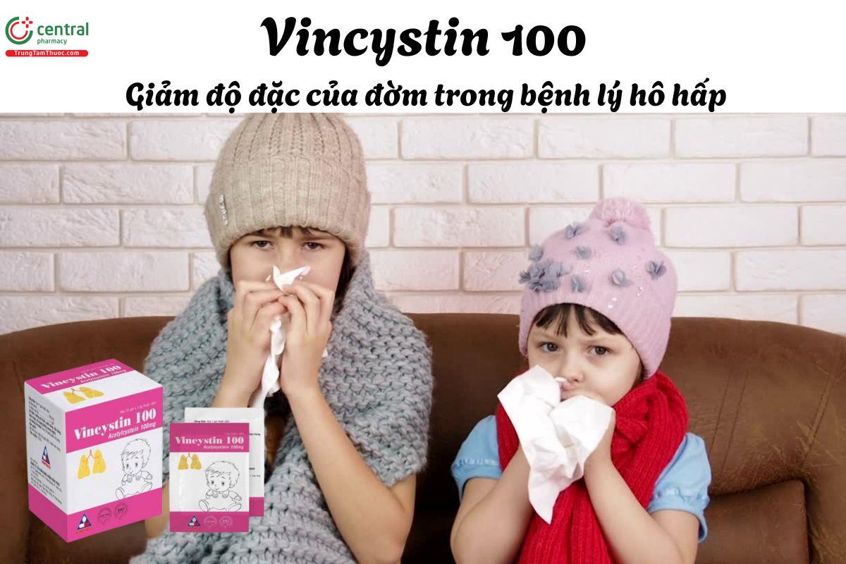 Thuốc Vincystin 100 - Điều trị các bệnh hô hấp có tăng tiết nhầy đặc