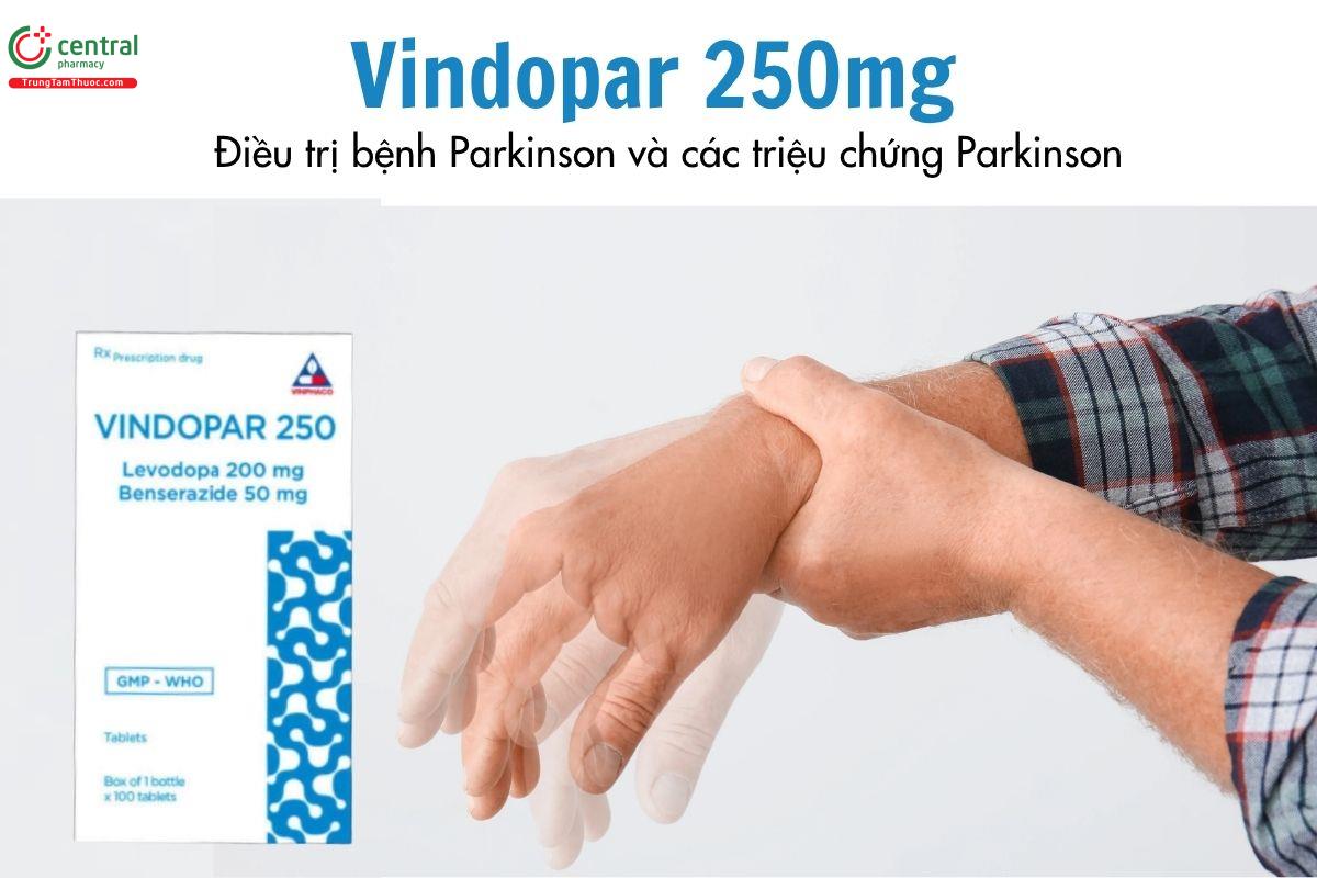 Thuốc Vindopar 250mg - Điều trị bệnh Parkinson và các triệu chứng Parkinson 