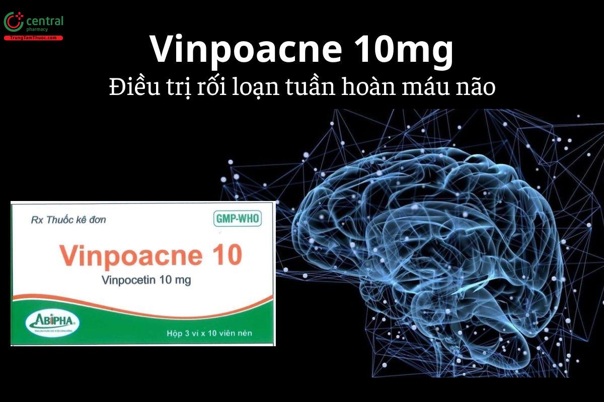 Thuốc Vinpoacne 10mg - Điều trị rối loạn mao mạch mãn tính của võng mạc