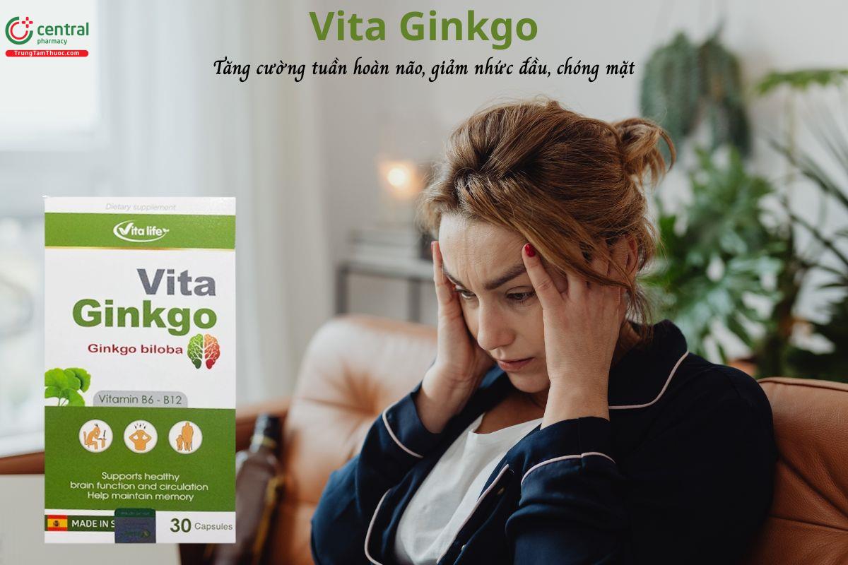 Vita Ginkgo - Tăng cường tuần hoàn não, giảm đau đầu, chóng mặt