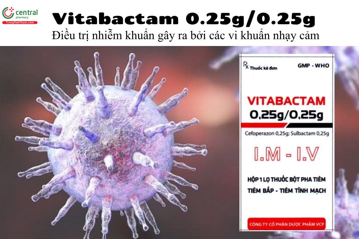 Thuốc Vitabactam 0.25g/0.25g - Điều trị nhiễm khuẩn gây ra bởi các vi khuẩn nhạy cảm