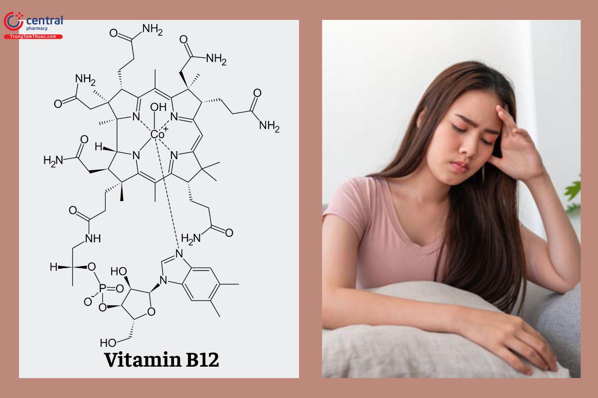 Vitamin B12 điều trị thiếu máu ác tính