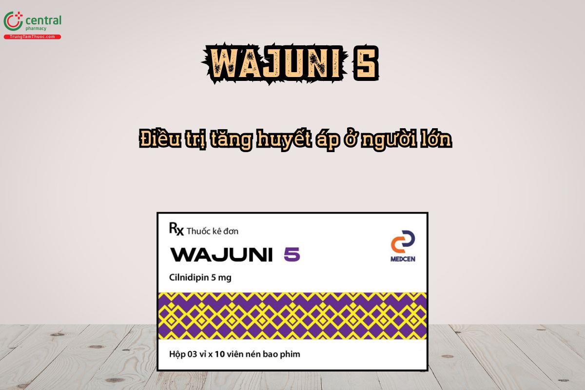 Điều trị tăng huyết áp bằng thuốc Wajuni 5
