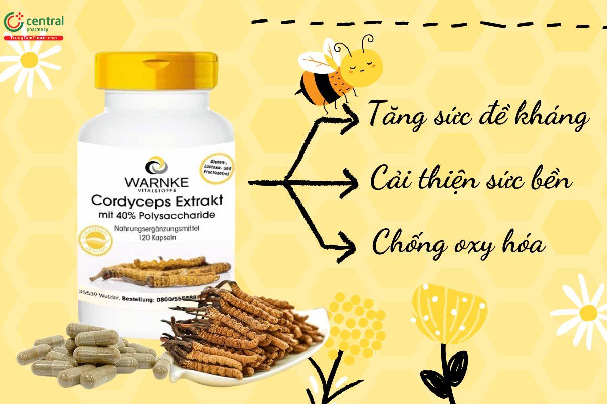 Công dụng của Warnke Cordyceps Extrakt 500mg