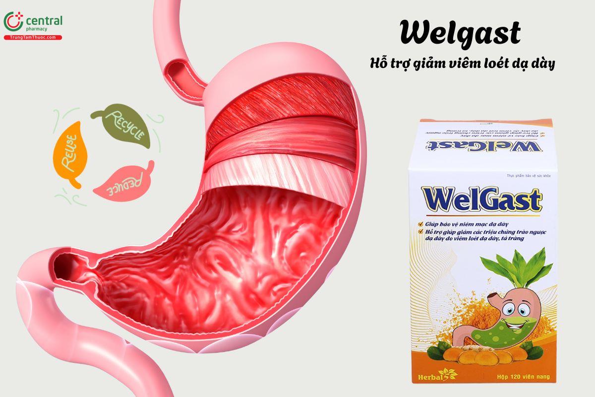 Welgast - GIúp chống oxy hóa, bảo vệ niêm mạc dạ dày