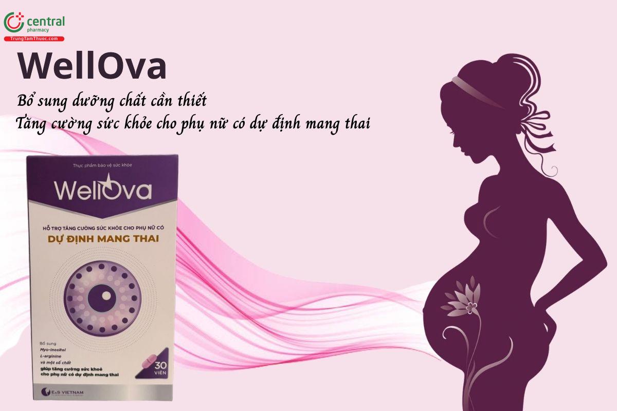 Bổ trứng WellOva - Tăng cường sức khỏe cho phụ nữ có dự định mang thai