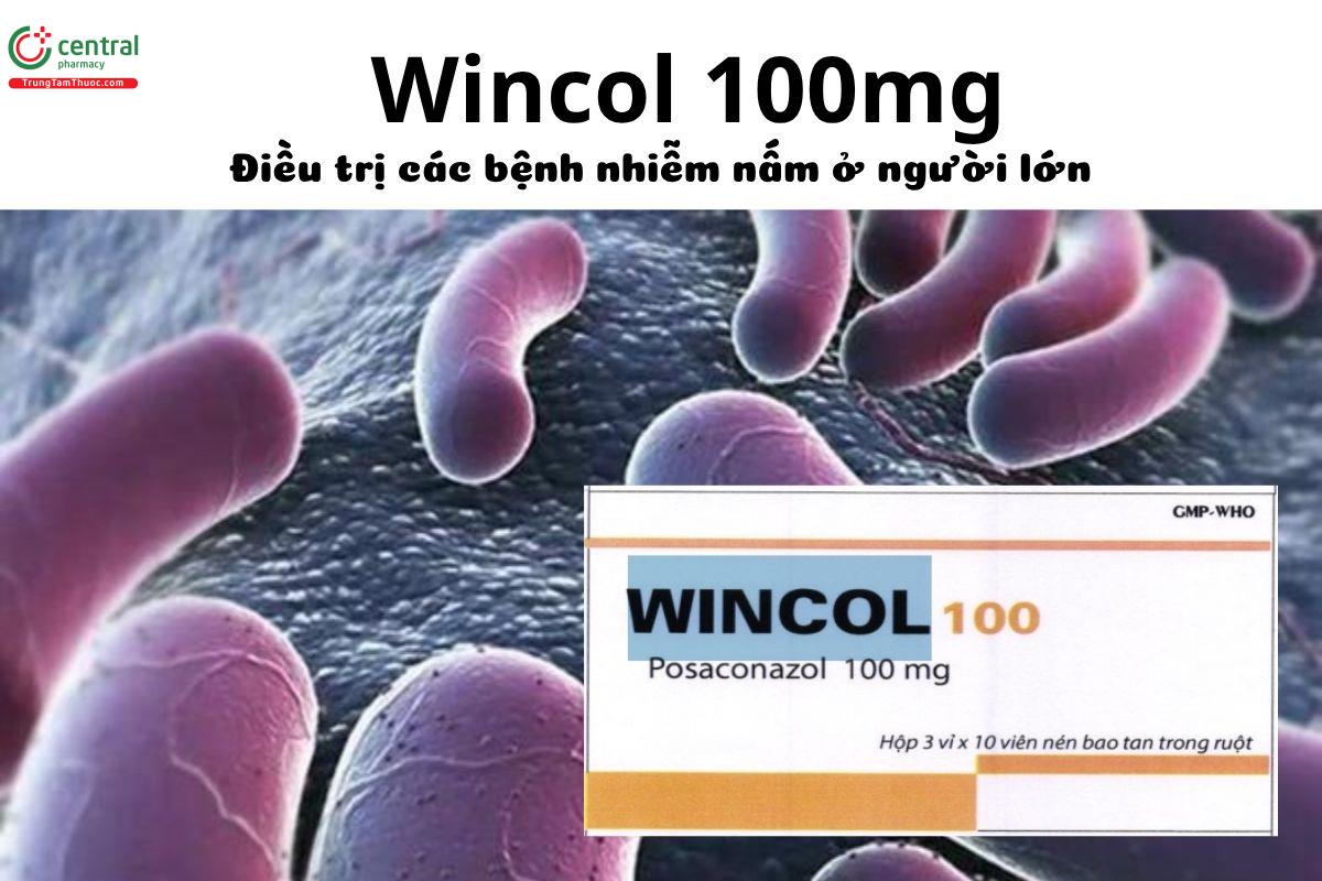 Thuốc Wincol 100mg - Điều trị các bệnh nhiễm nấm ở người lớn