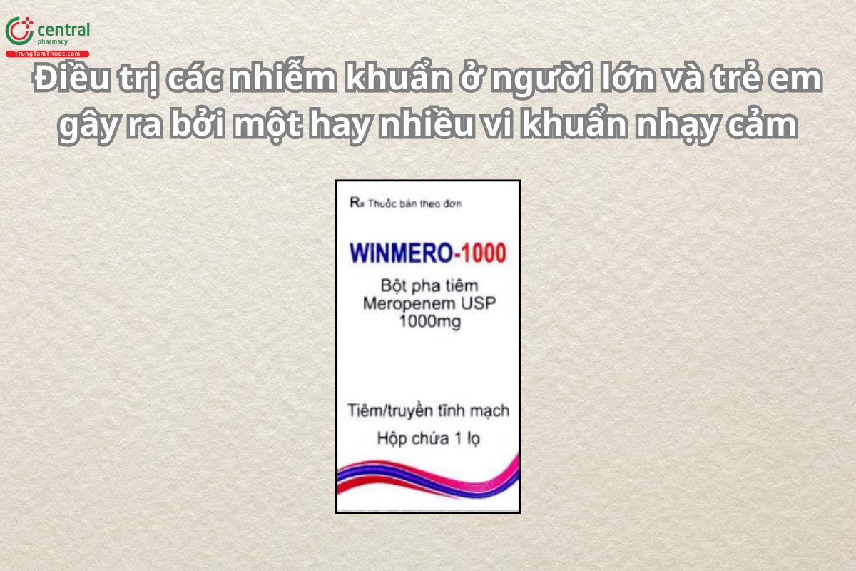 Thuốc Winmero 1g điều trị các nhiễm khuẩn ở người lớn và trẻ nhỏ