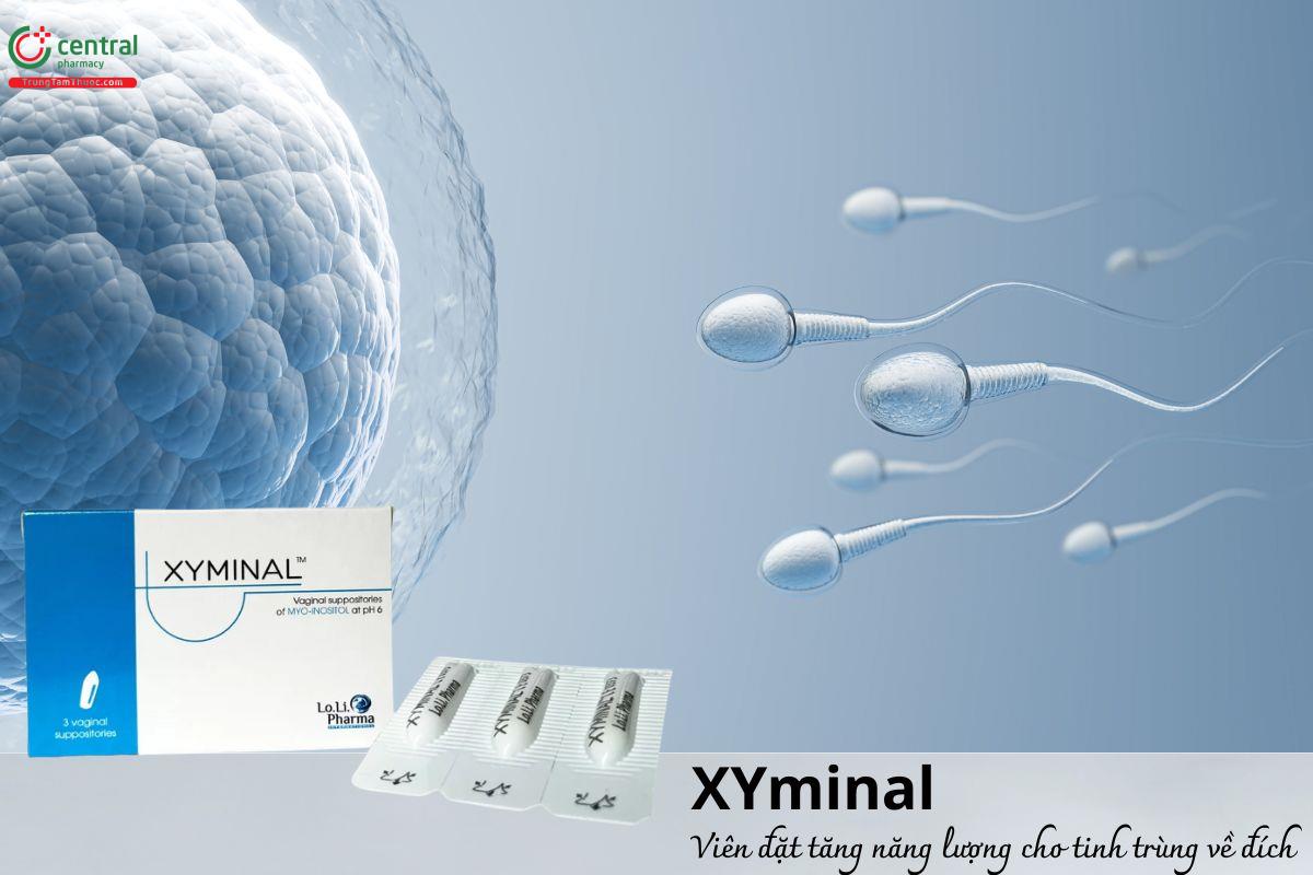 Viên đặt XYminal - Tạo điều kiện thuận lợi cho hoạt động của tinh trùng