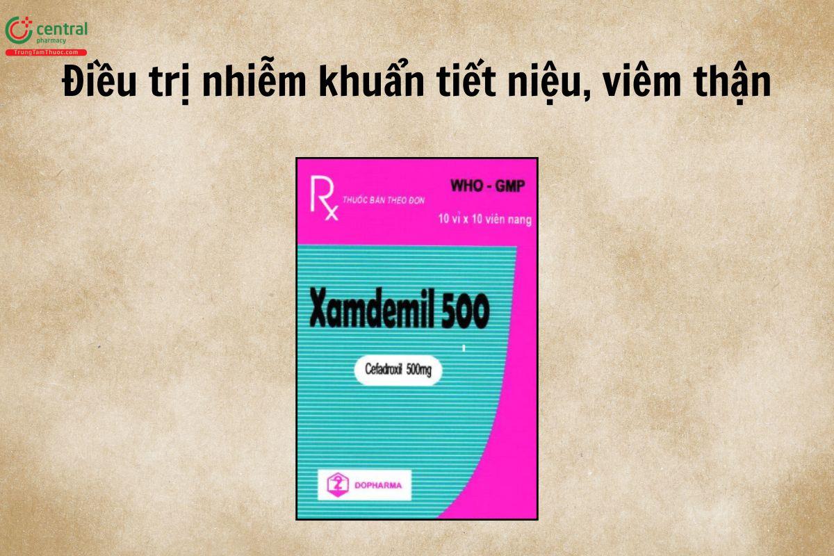 Thuốc Xamdemil 500 được sử dụng trong điều trị các bệnh nhiễm khuẩn mức độ nhẹ đến vừa