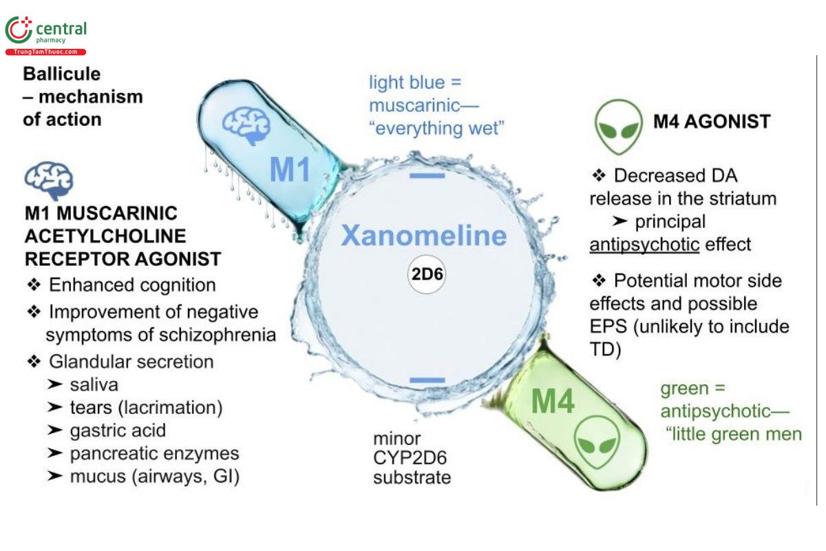 Xanomeline